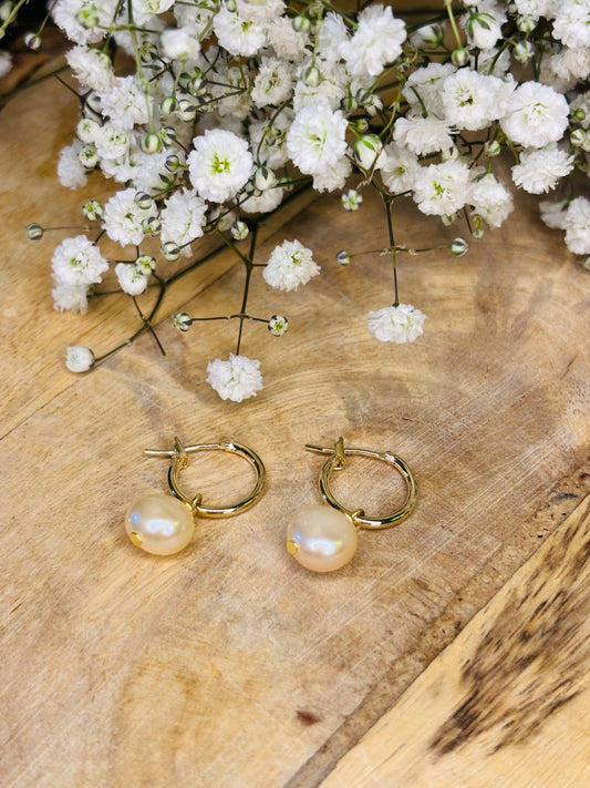 14mm 14K gold plated hoops featuring champagne freshwater pearls