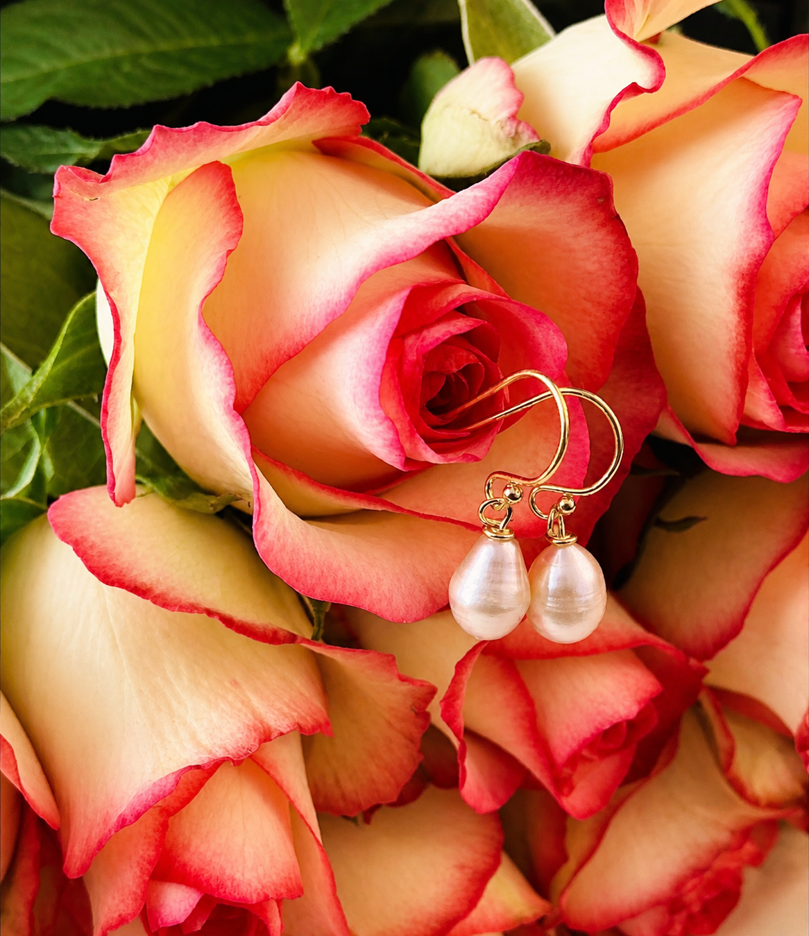 Pink teardrop Freshwater Pearl 14K Gold Filled Hallmarked Shepherds crook earrings